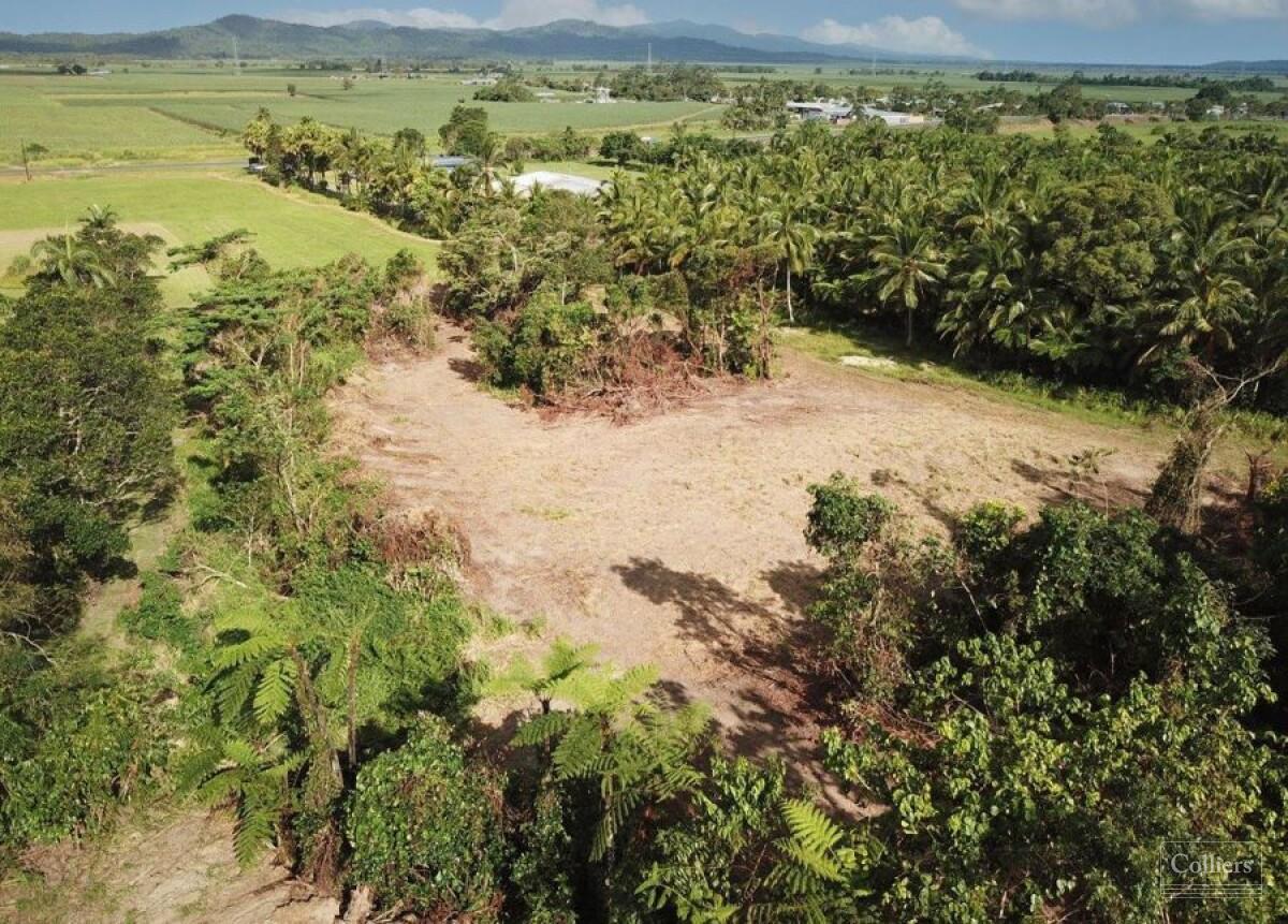 Rainforest Lifestyle - Tropical Paradise - #3