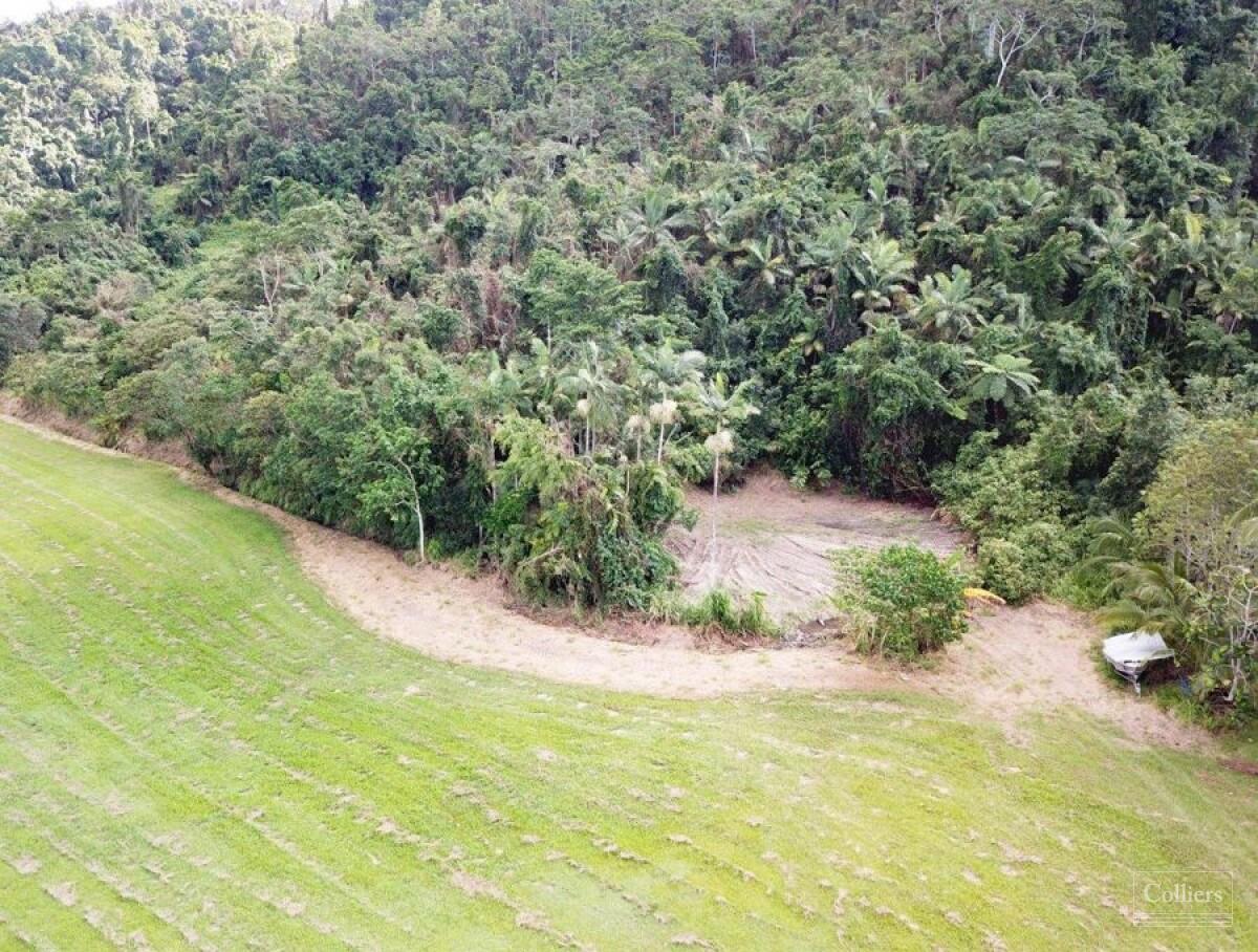 Rainforest Lifestyle - Tropical Paradise - #5