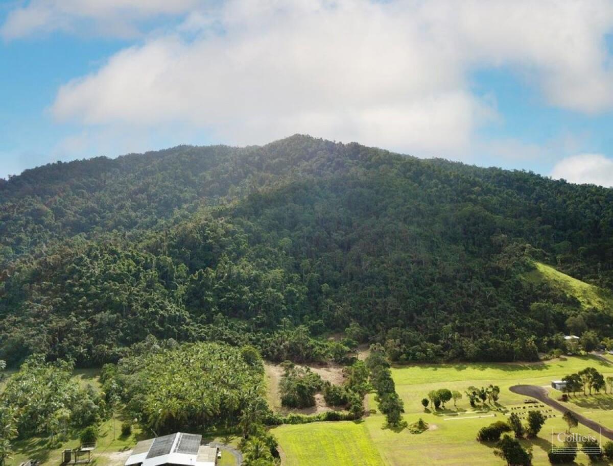 Rainforest Lifestyle - Tropical Paradise - #10