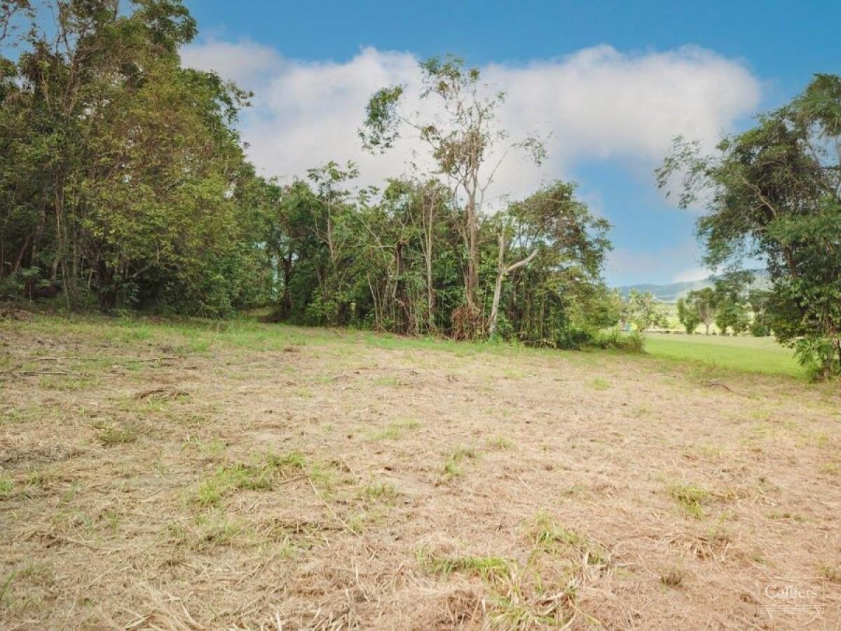 Rainforest Lifestyle - Tropical Paradise - #6