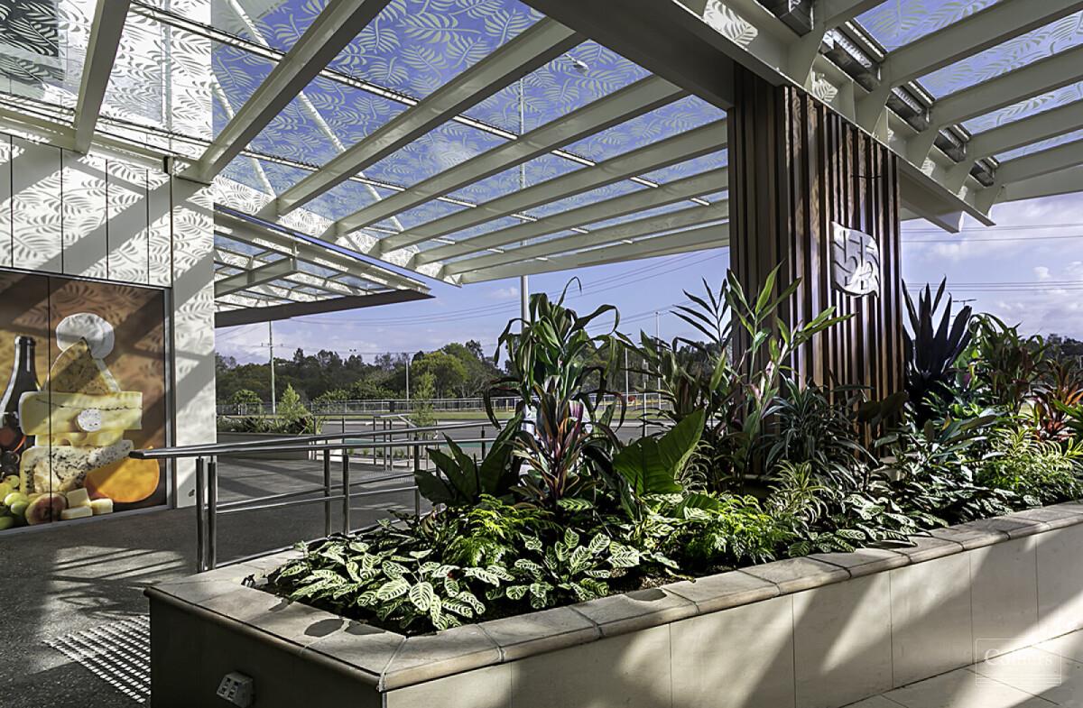 KON TIKI - BUSINESS, RETAIL AND MEDICAL - #6