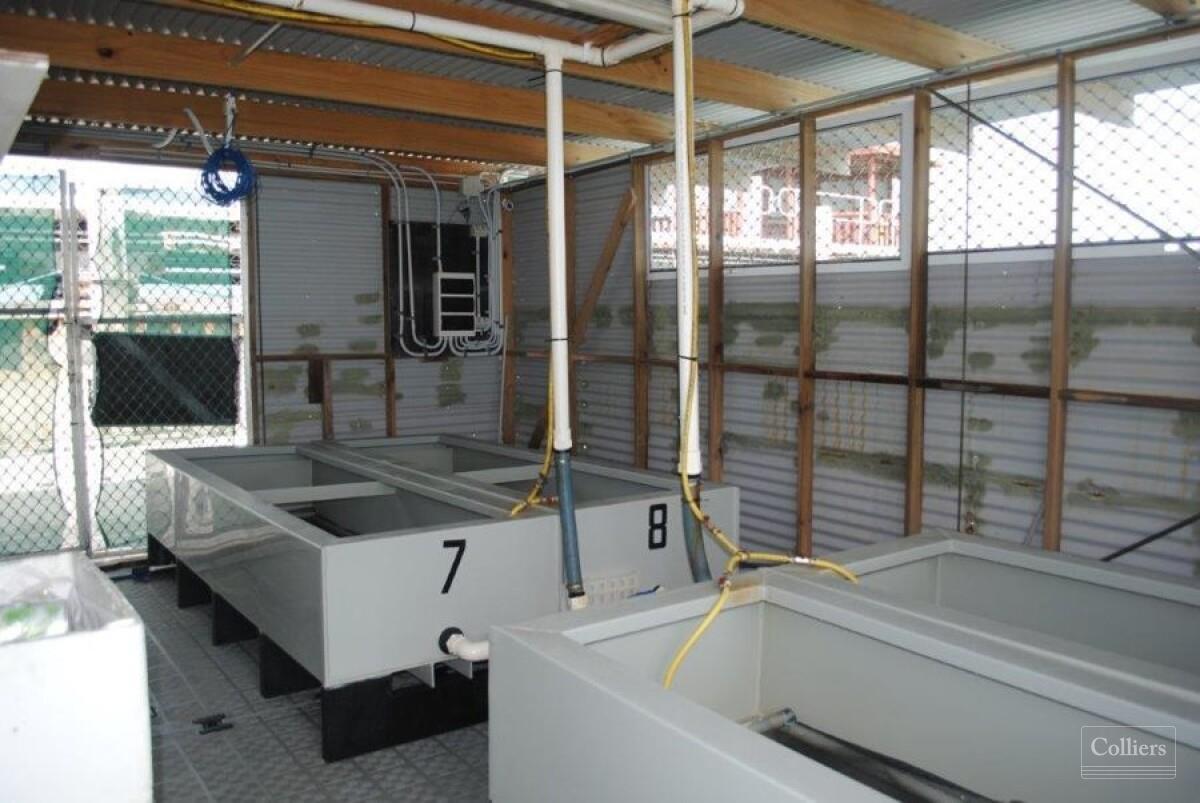 Rare Ocean Front Development Opportunity - #10