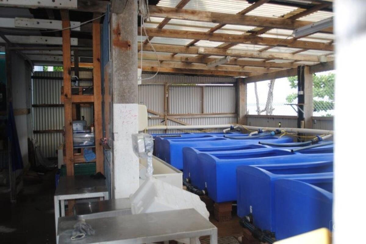 Rare Ocean Front Development Opportunity - #9