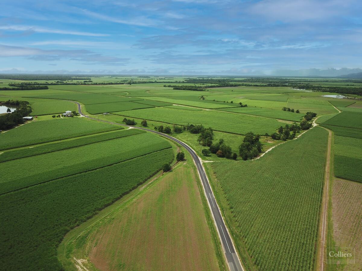 Cane farms & harvesting enterprise - #2