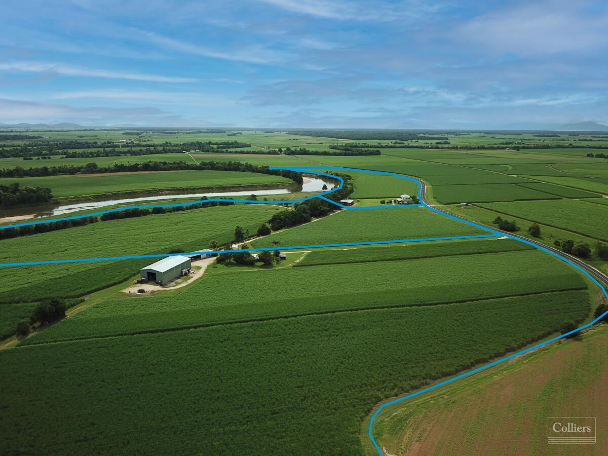 Cane farms & harvesting enterprise - #10