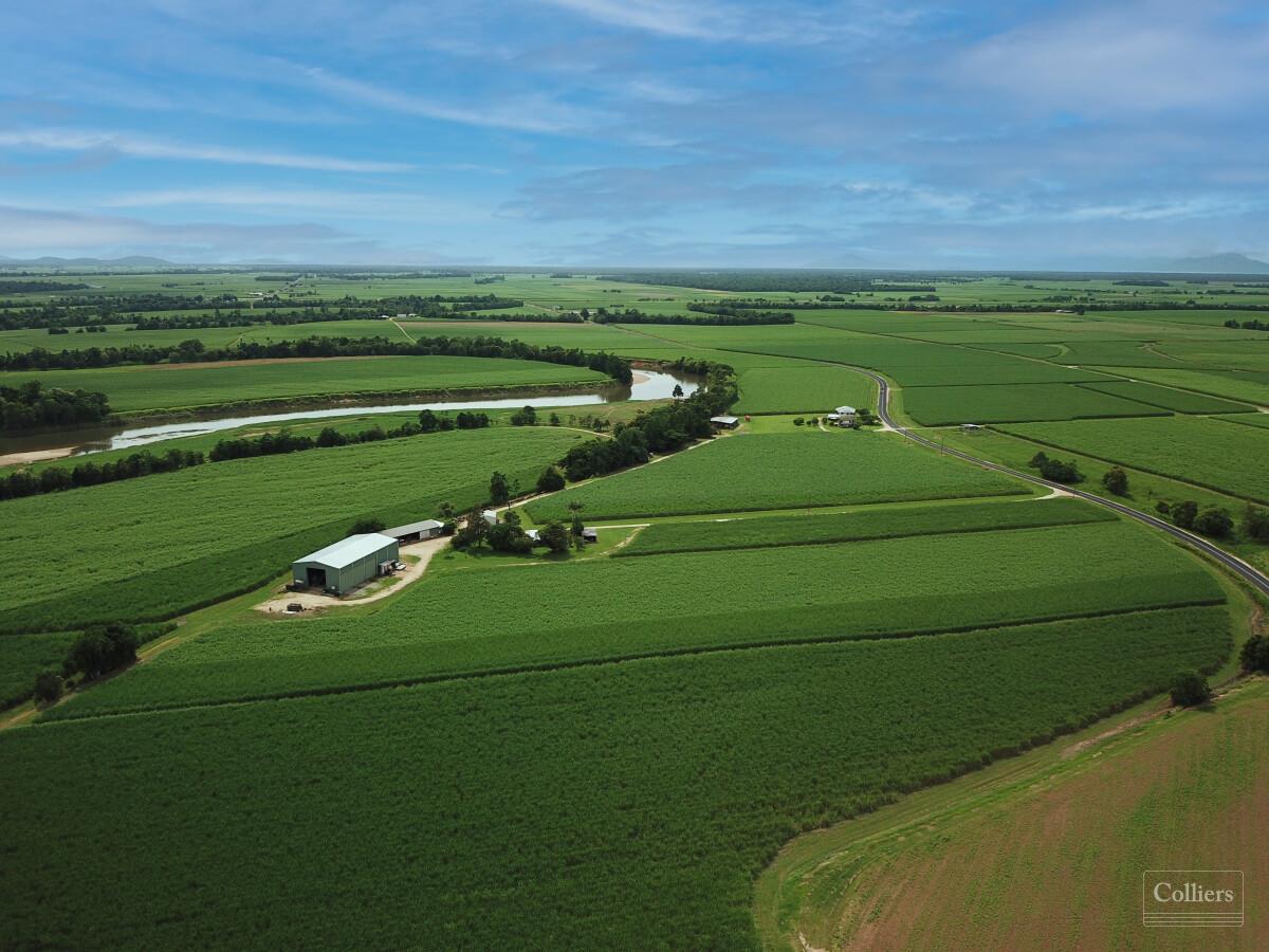 Cane farms & harvesting enterprise - #5