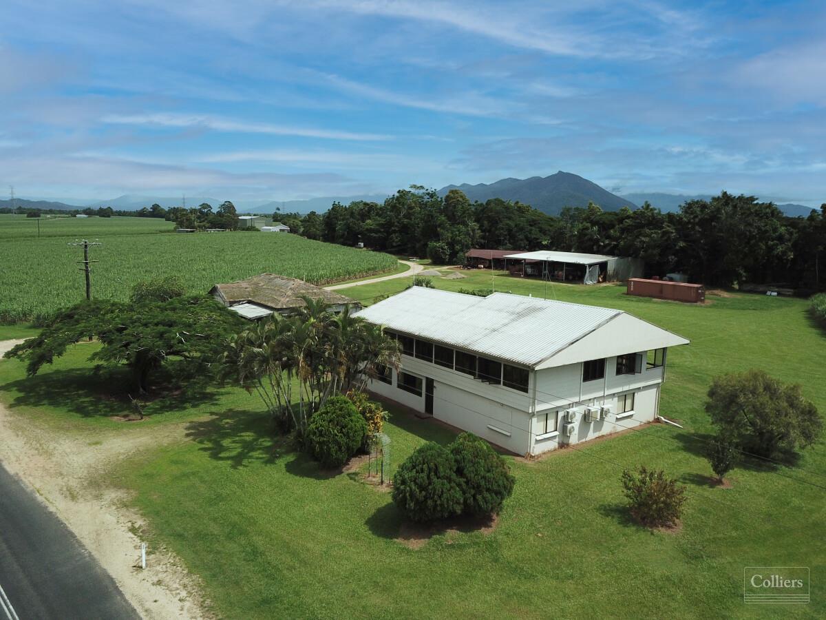 Cane farms & harvesting enterprise - #7