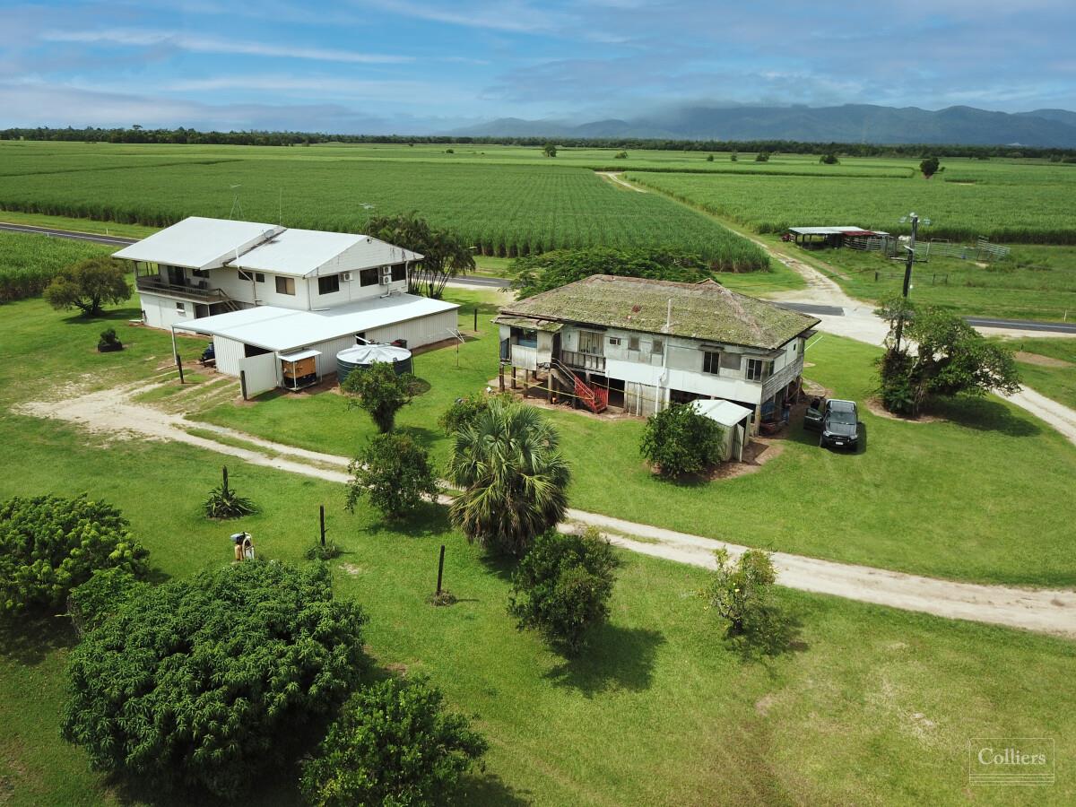 Cane farms & harvesting enterprise - #6