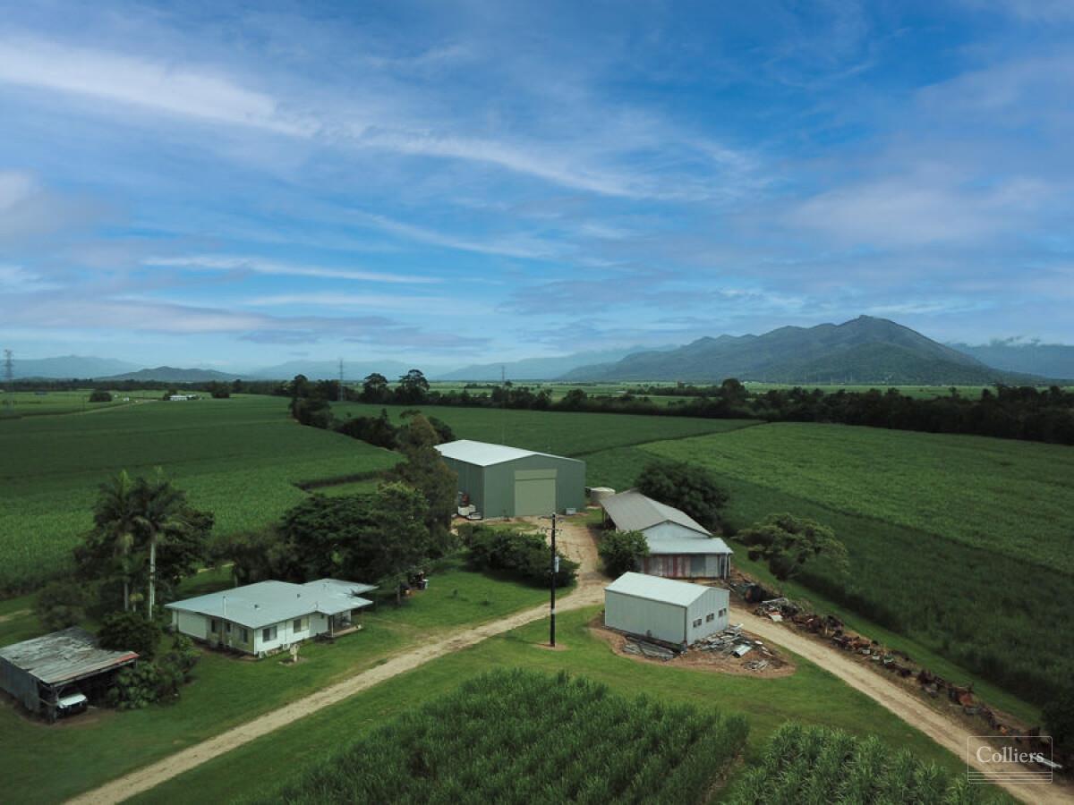 Cane farm with 2 residences - #4