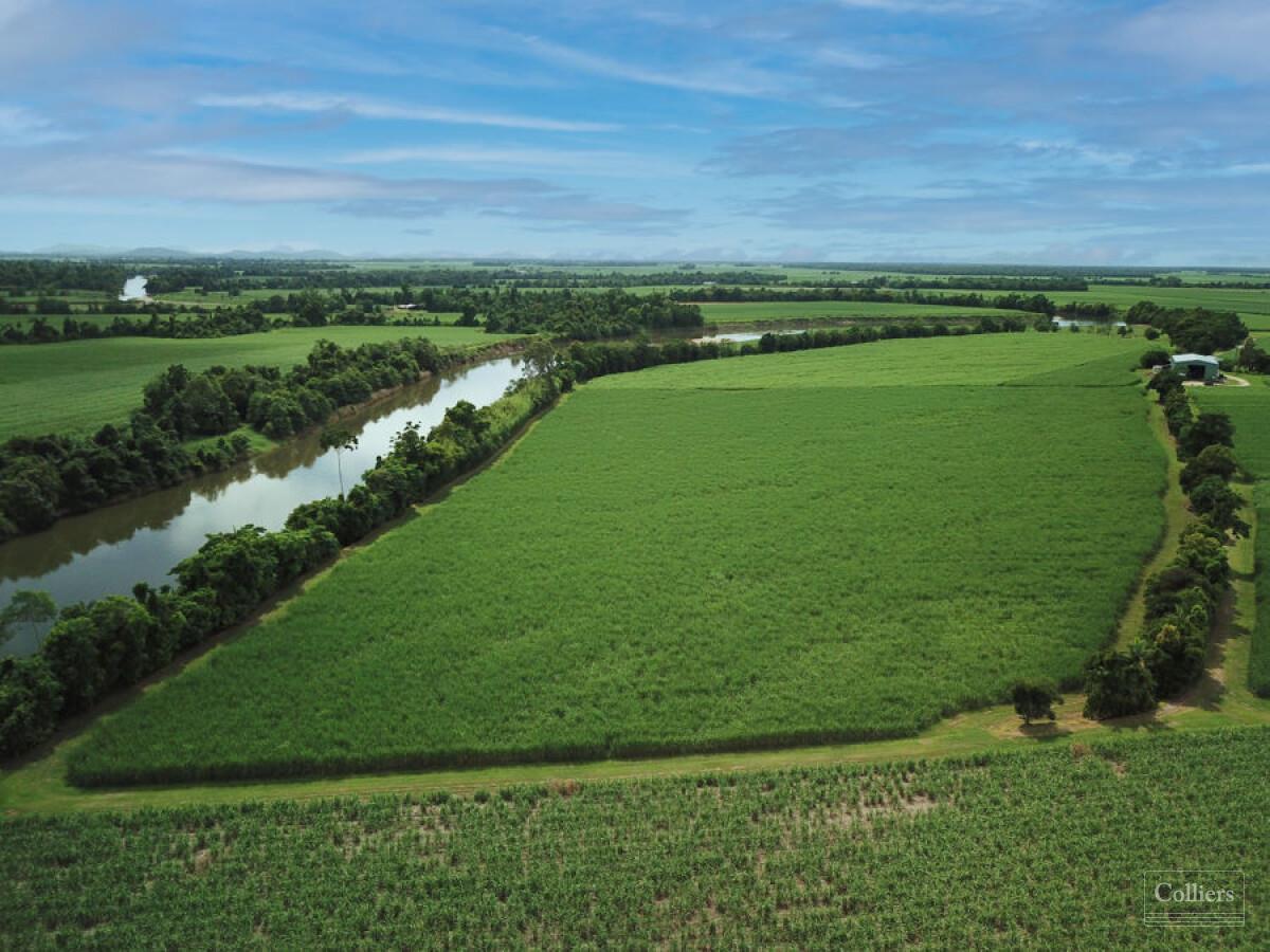 Cane farm with 2 residences - #3