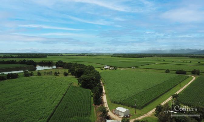 Cane farm with 2 residences - #1