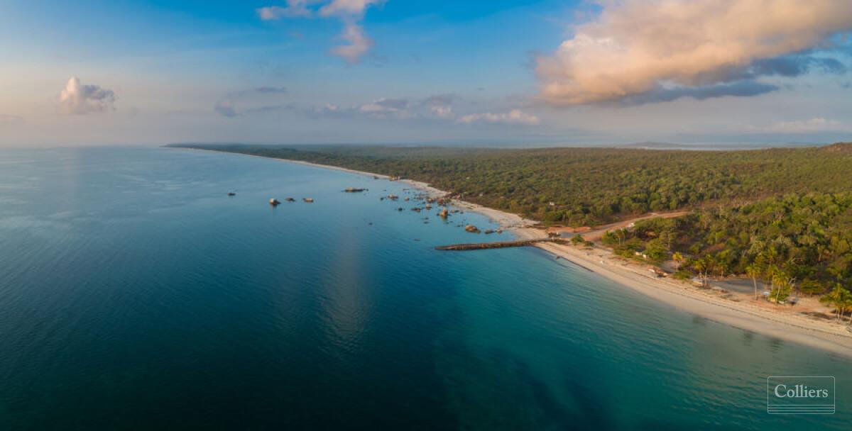 The Last Great Wilderness - Cape York Freehold Rainforest - #7