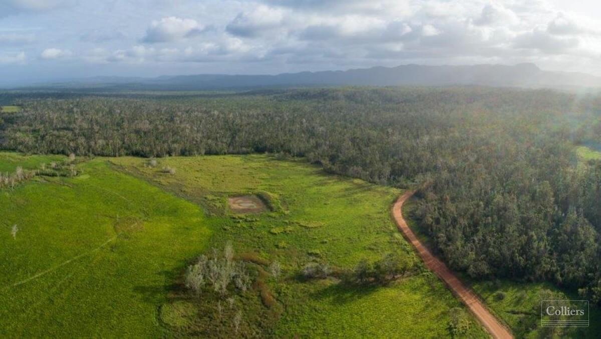 The Last Great Wilderness - Cape York Freehold Rainforest - #3