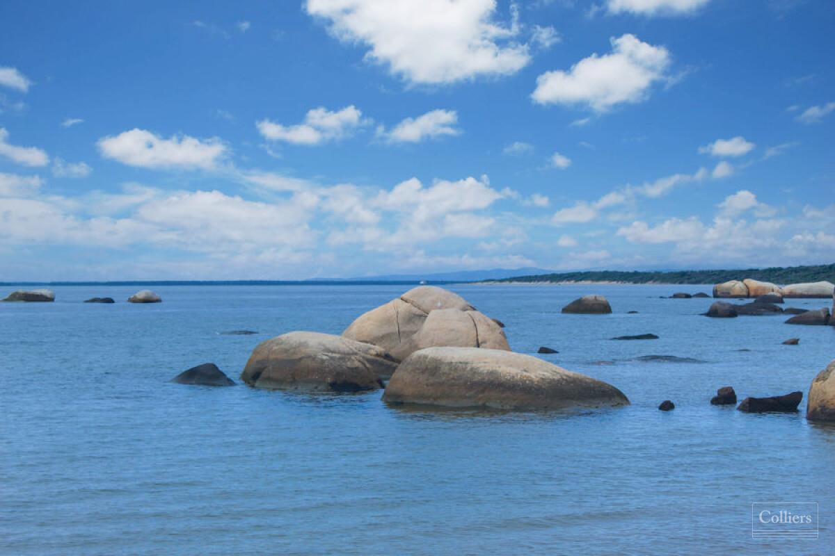 The Last Great Wilderness - Cape York Freehold Rainforest - #8