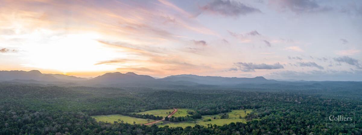 The Last Great Wilderness - Cape York Freehold Rainforest - #5