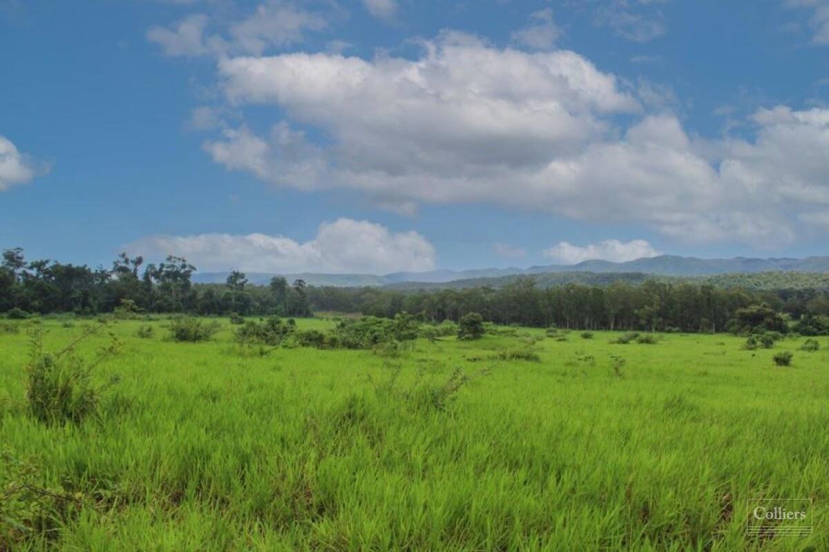 The Last Great Wilderness - Cape York Freehold Rainforest - #4