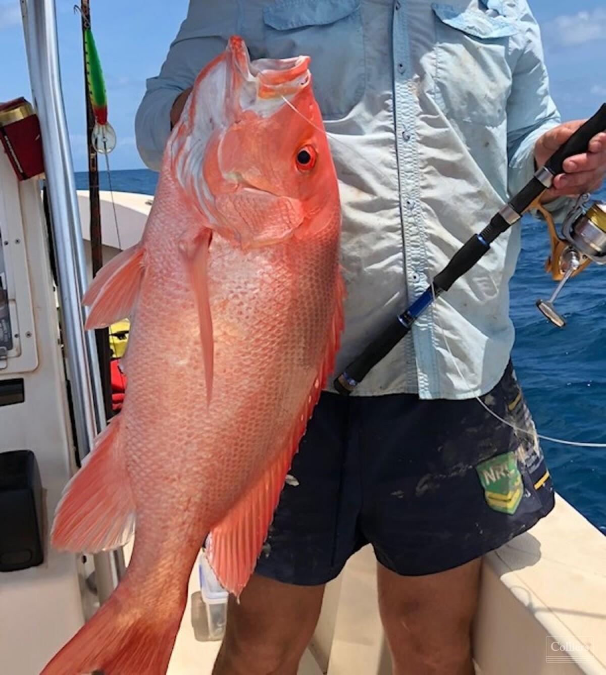 The Last Great Wilderness - Cape York Freehold Rainforest - #19