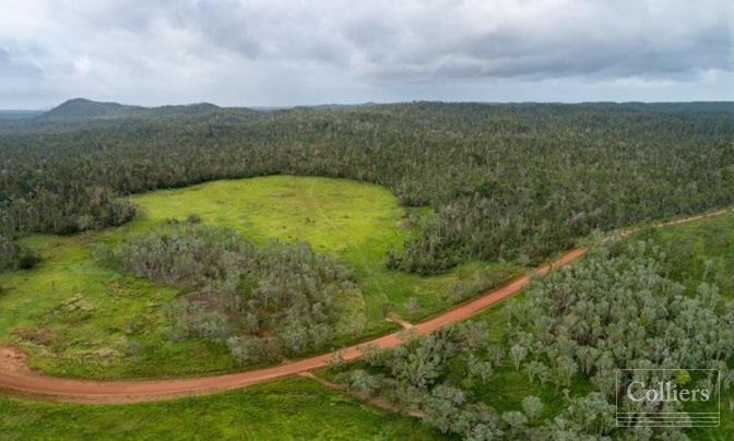 The Last Great Wilderness - Cape York Freehold Rainforest - #1