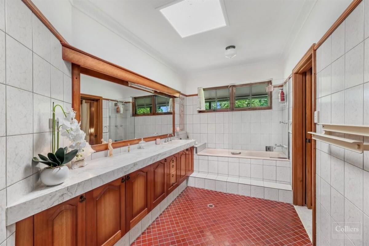 Tablelands Treasure - Riverfront Acreage - #7