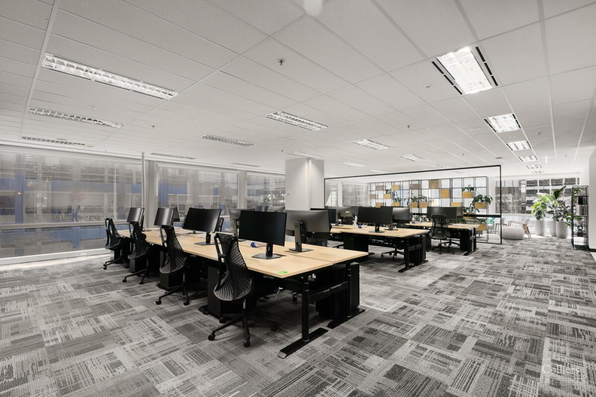 Penthouse floors with outstanding natural light and views - #12