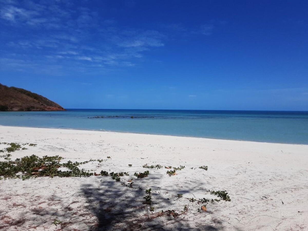 OPPORTUNITY IN PARADISE - #2