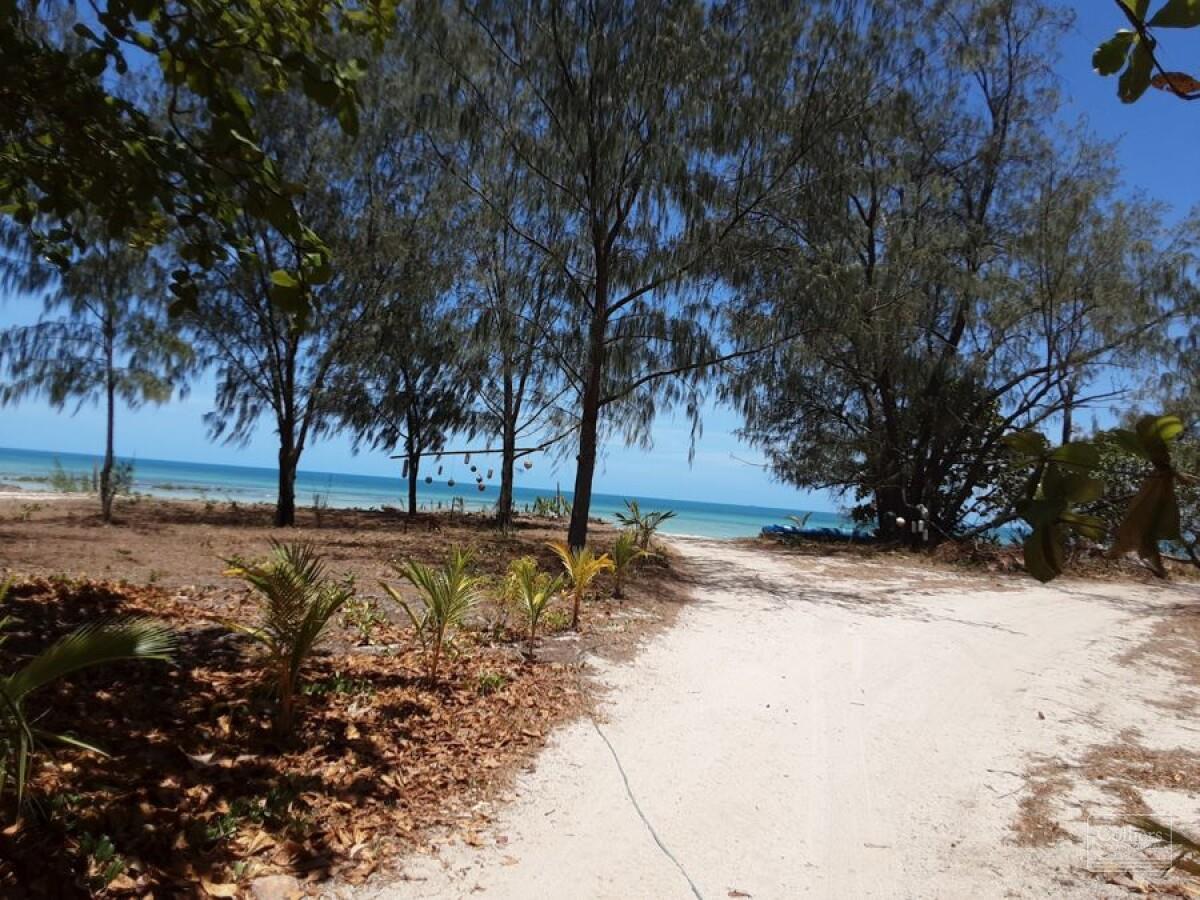 OPPORTUNITY IN PARADISE - #4