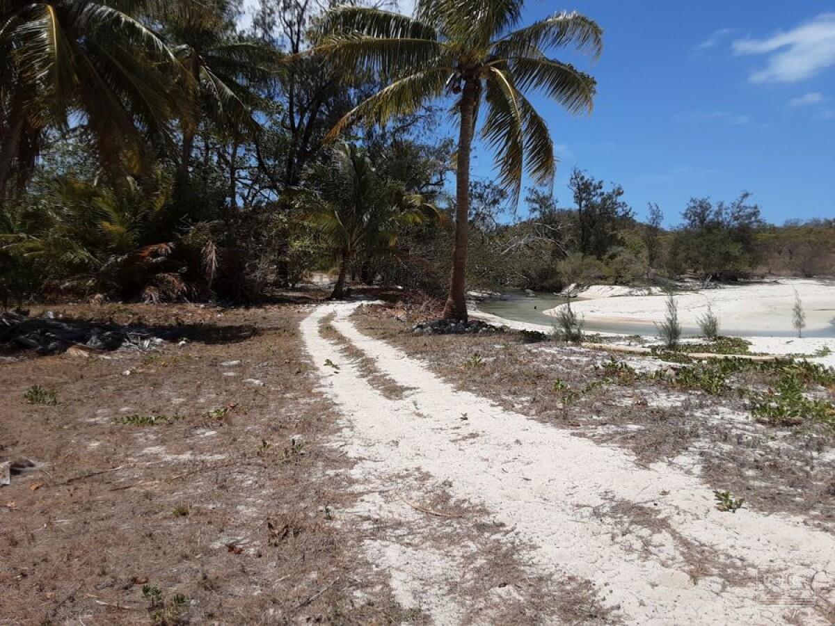 OPPORTUNITY IN PARADISE - #5