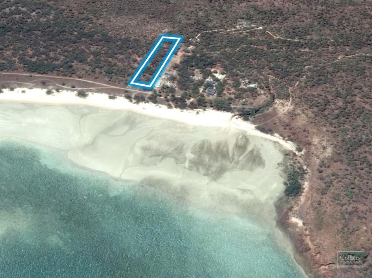 OPPORTUNITY IN PARADISE - #3