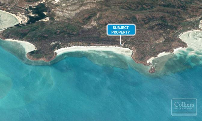 OPPORTUNITY IN PARADISE - #1