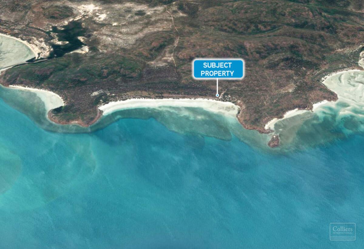 OPPORTUNITY IN PARADISE - #1