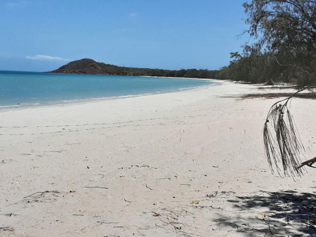 OPPORTUNITY IN PARADISE - #7