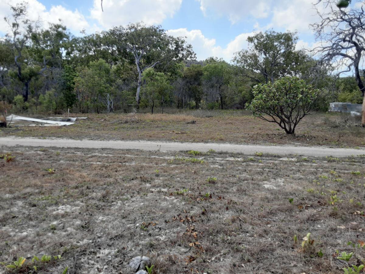 OPPORTUNITY IN PARADISE - #6