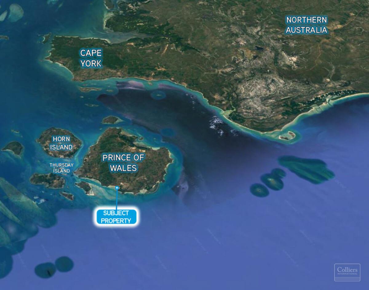 OPPORTUNITY IN PARADISE - #8