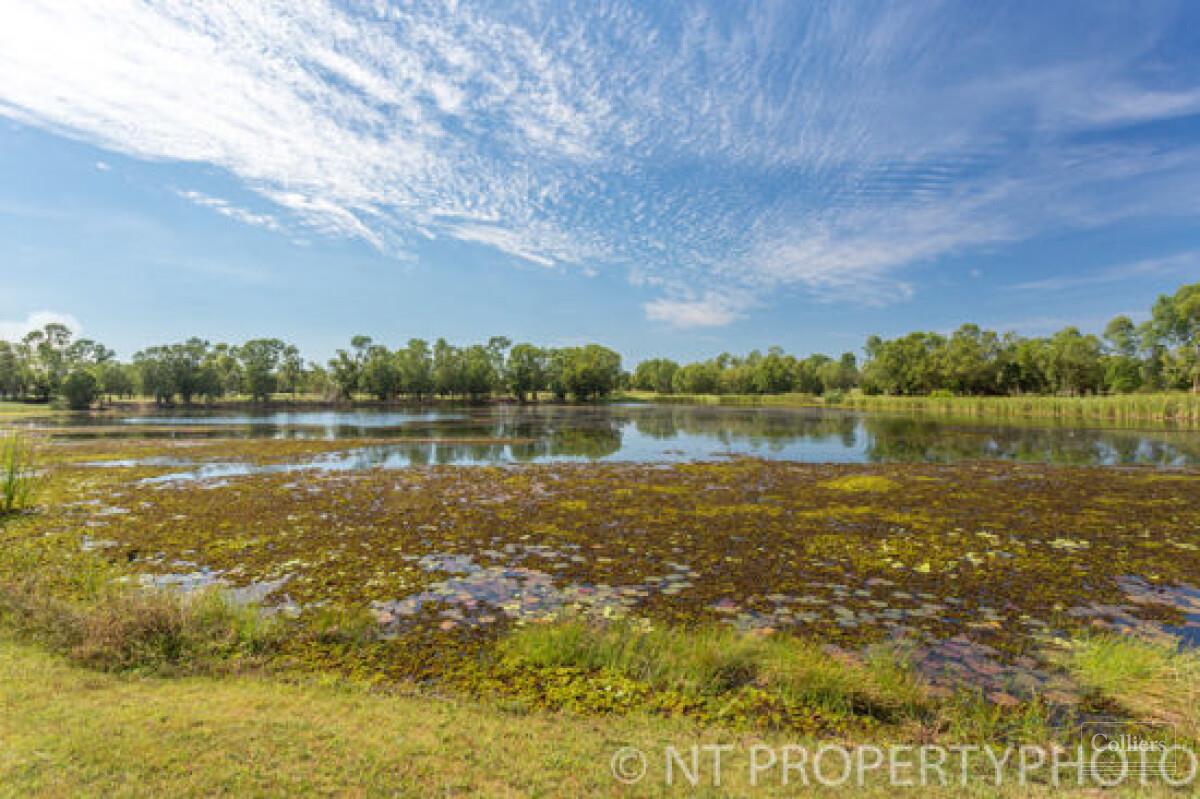 STUNNING CONTEMPORARY EXECUTIVE HOME - #17