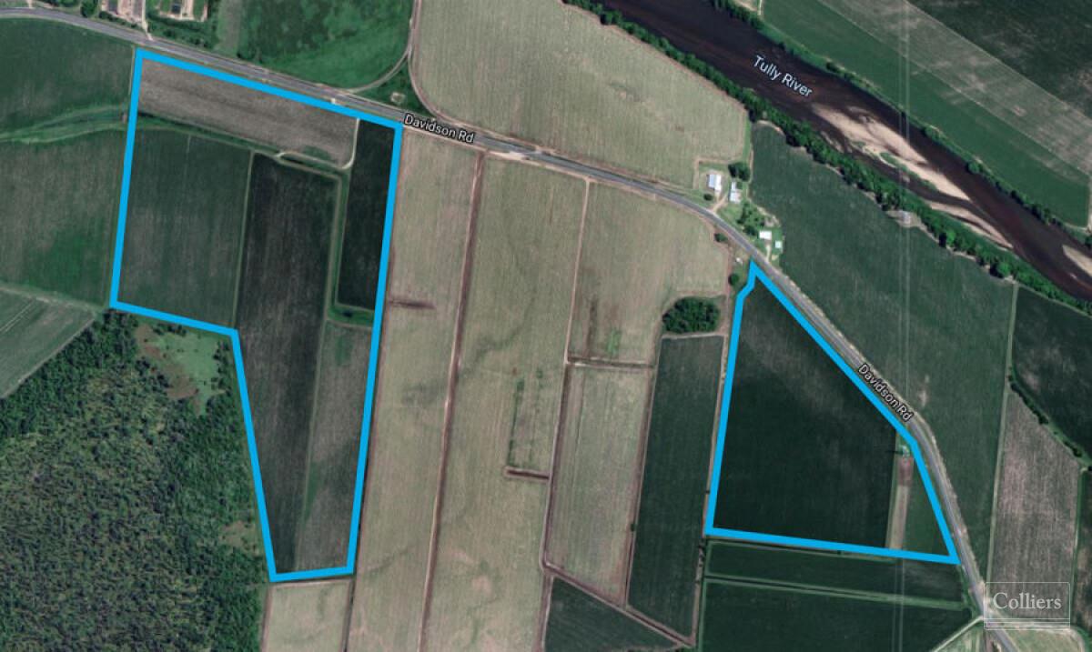 Cane farms & harvesting enterprise - #4