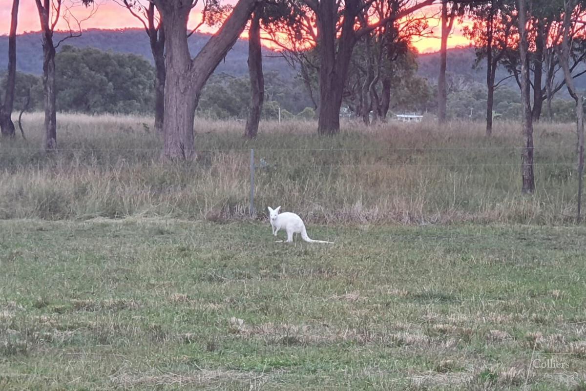 Sensational Waterfront Views... Owners Transferring Interstate...75 Acres... 2 Houses... Bore - #33