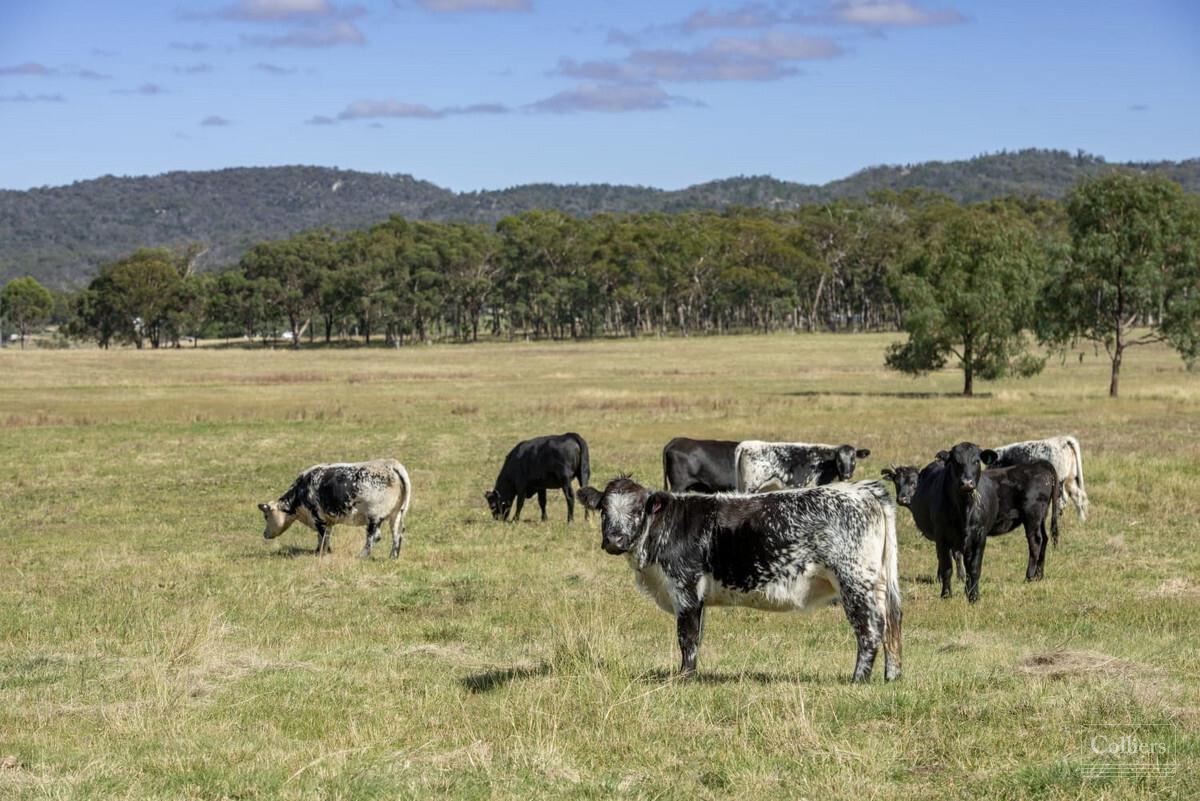 Sensational Waterfront Views... Owners Transferring Interstate...75 Acres... 2 Houses... Bore - #30