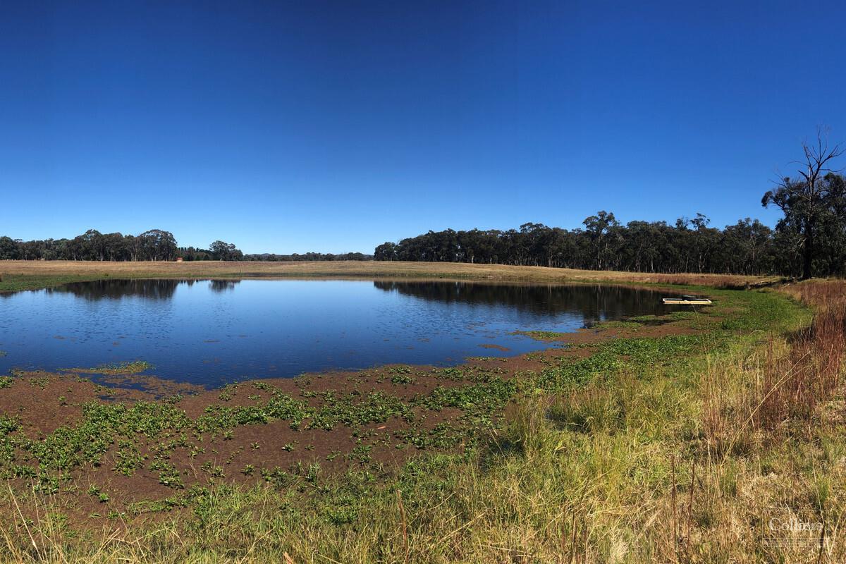 Sensational Waterfront Views... Owners Transferring Interstate...75 Acres... 2 Houses... Bore - #29