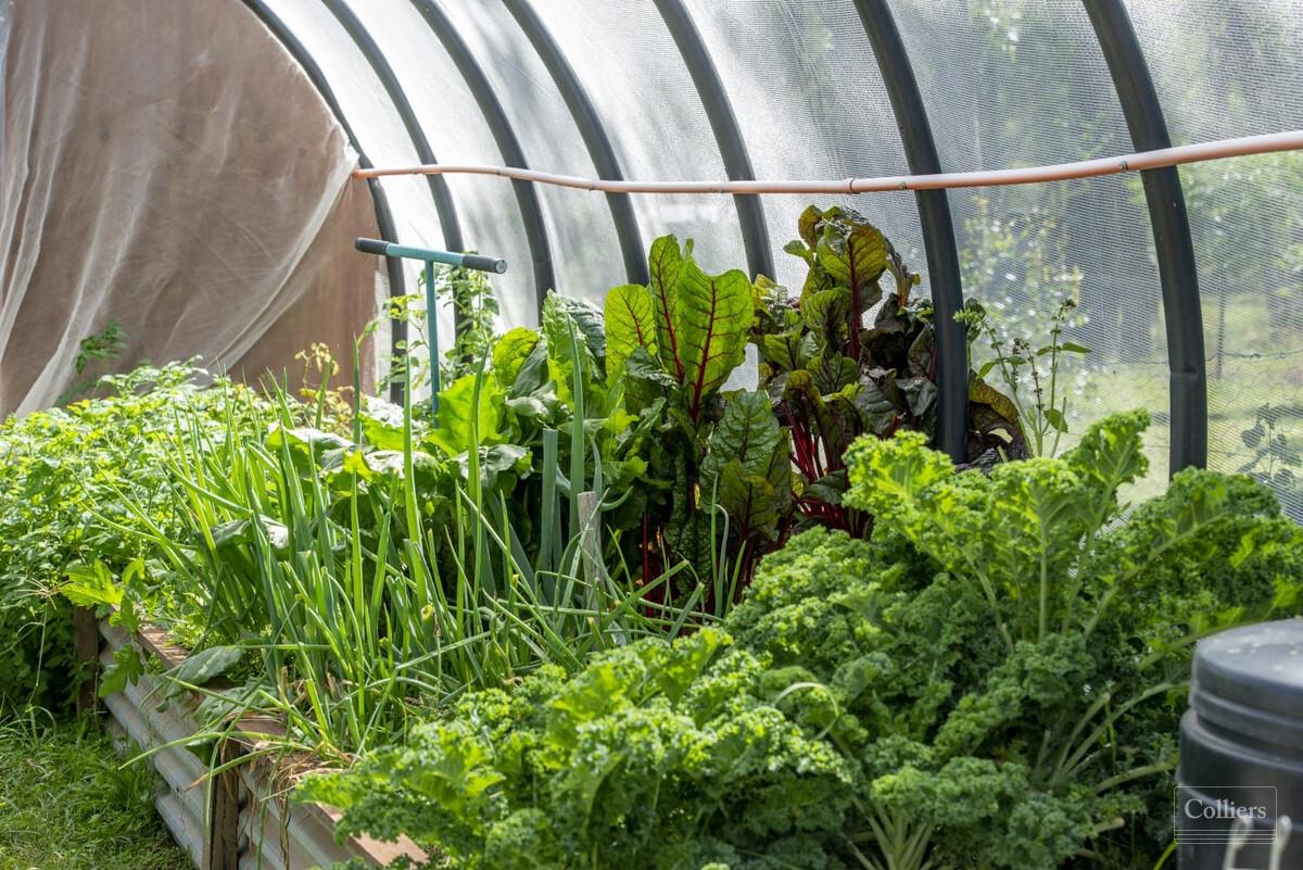 Sensational Waterfront Views... Owners Transferring Interstate...75 Acres... 2 Houses... Bore - #13