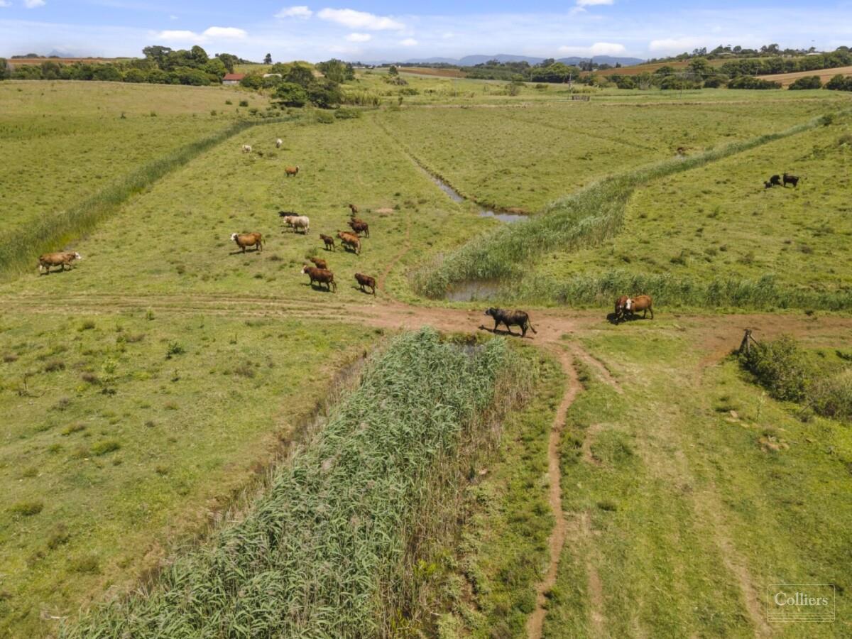 Major Kingscliff Land Holding Opportunity with Holding Income - #6