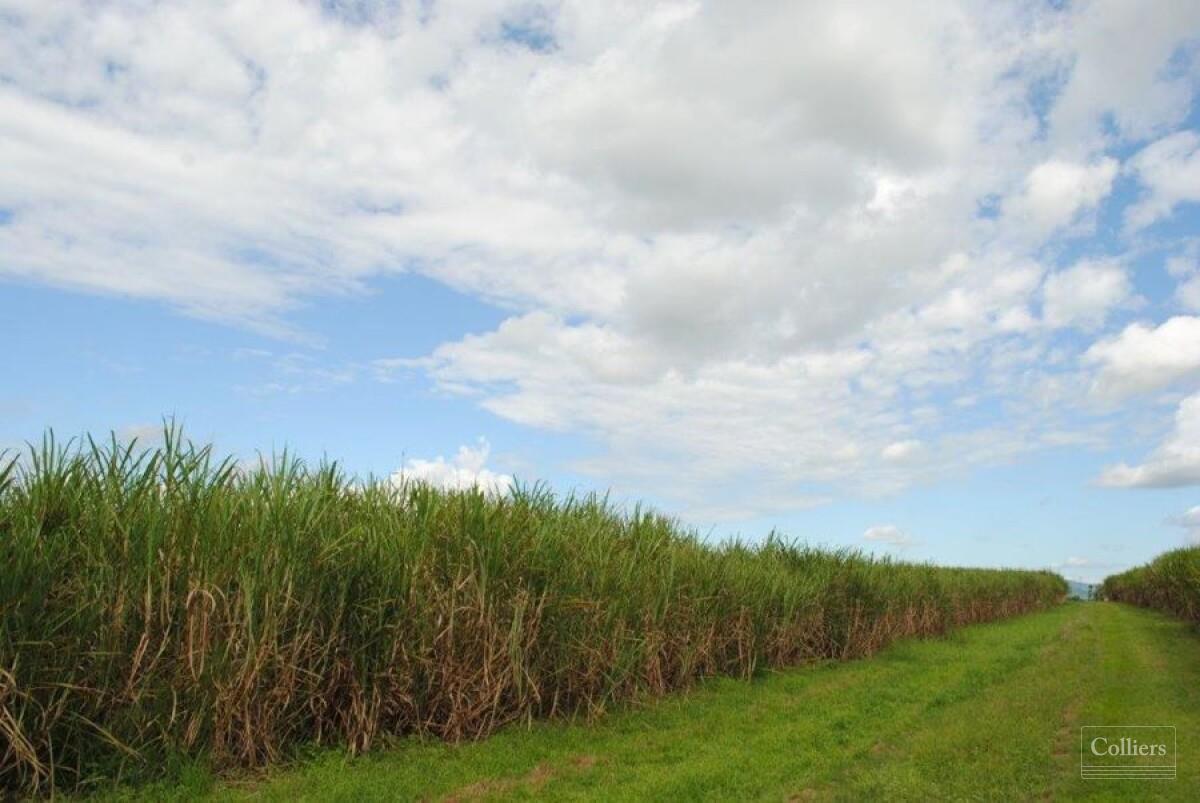 Quality Agricultural Lands - #3