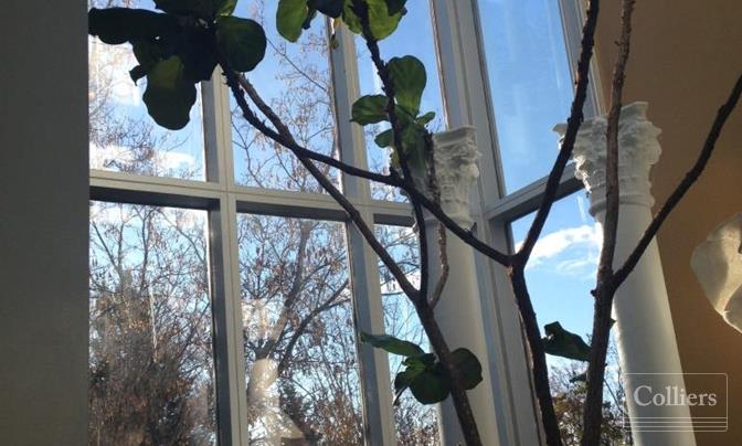 40 Foundry Street, Moncton New Brunswick [don't delete or edit, use for auto] - #8