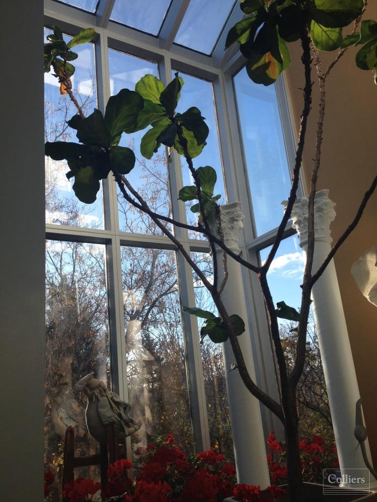 40 Foundry Street, Moncton New Brunswick [don't delete or edit, use for auto] - #8