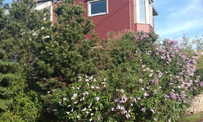 40 Foundry Street, Moncton New Brunswick [don't delete or edit, use for auto] - #3