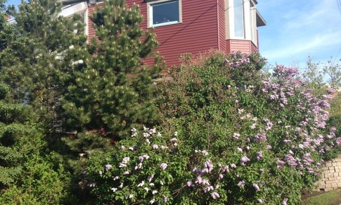 40 Foundry Street, Moncton New Brunswick [don't delete or edit, use for auto] - #3