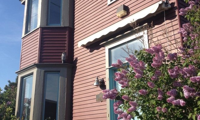 40 Foundry Street, Moncton New Brunswick [don't delete or edit, use for auto] - #5