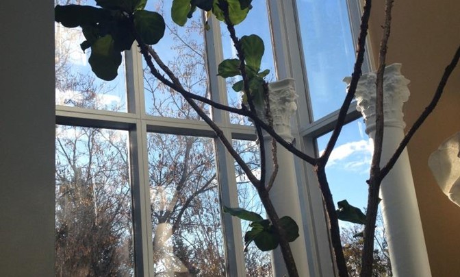 40 Foundry Street, Moncton New Brunswick [don't delete or edit, use for auto] - #8