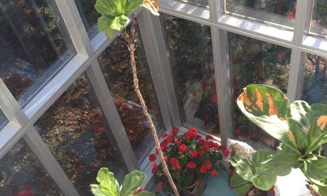 40 Foundry Street, Moncton New Brunswick [don't delete or edit, use for auto] - #18