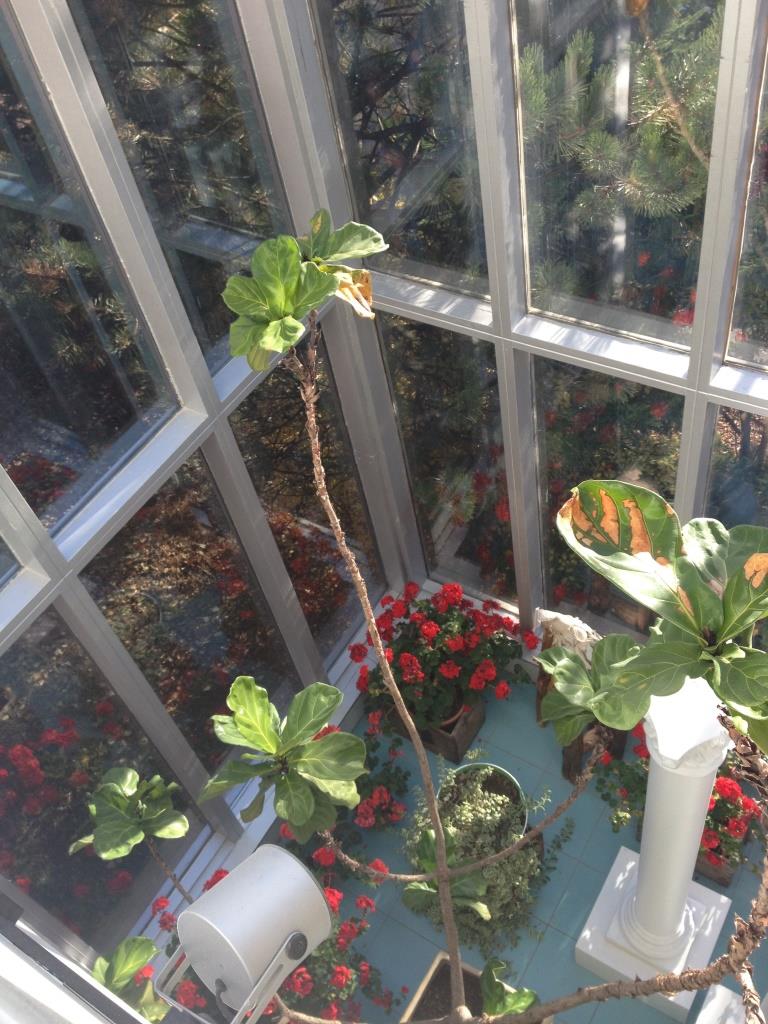 40 Foundry Street, Moncton New Brunswick [don't delete or edit, use for auto] - #18