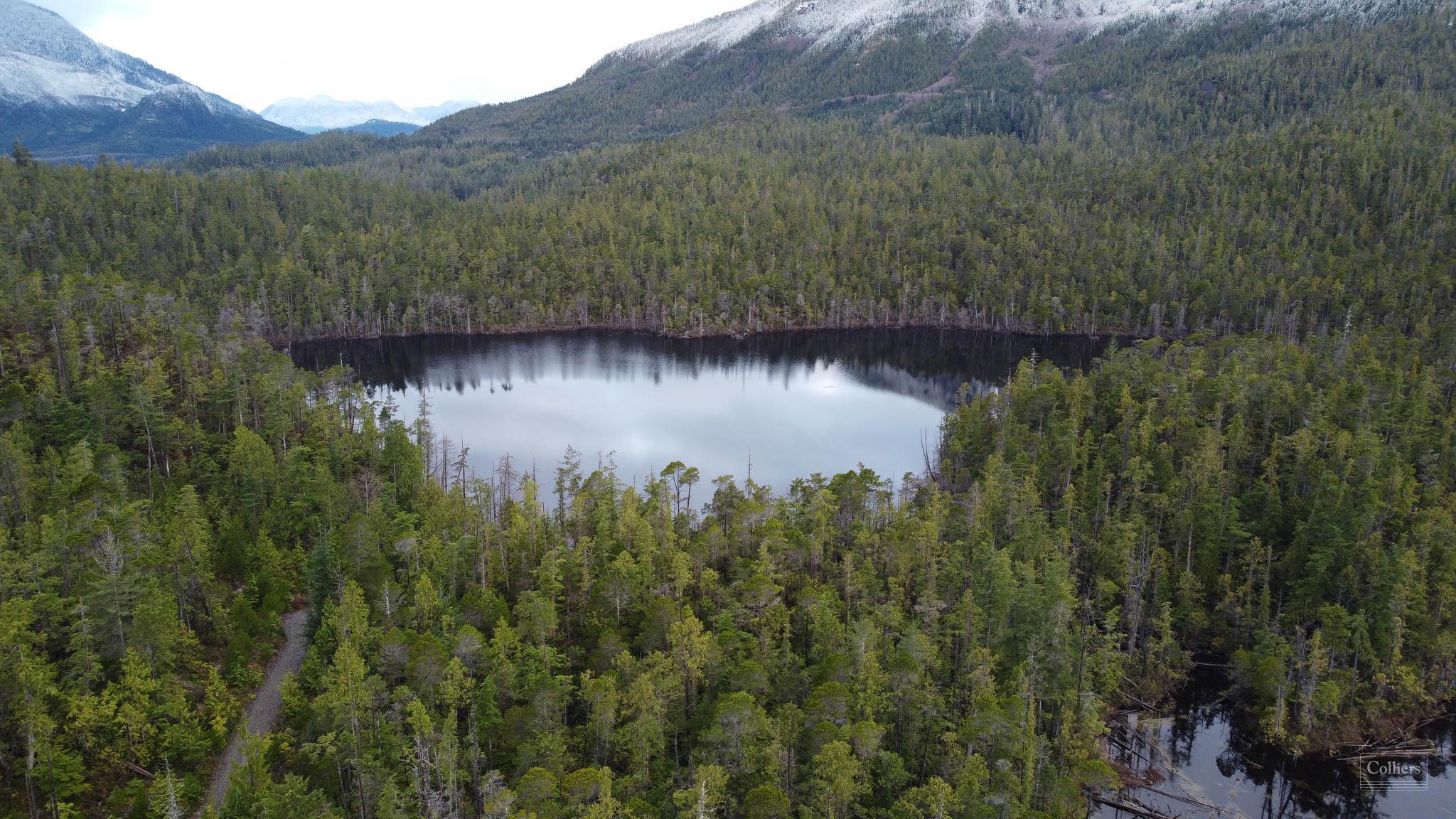 Tofino Wilderness Resort - FR - #3